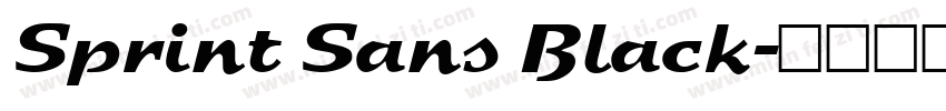 Sprint Sans Black字体转换